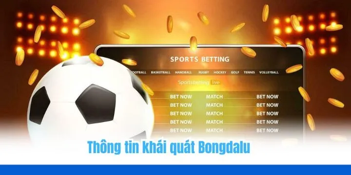 Giới thiệu khái quát về nền tảng Bongdalu