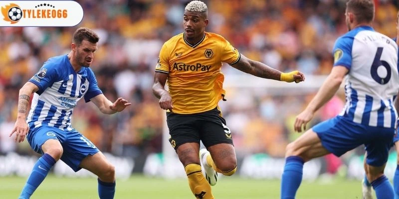 Góc nhìn trước trận Brighton vs Wolves